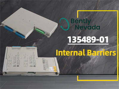 Todo lo que necesita saber sobre las barreras internas Bently Nevada 135489-01